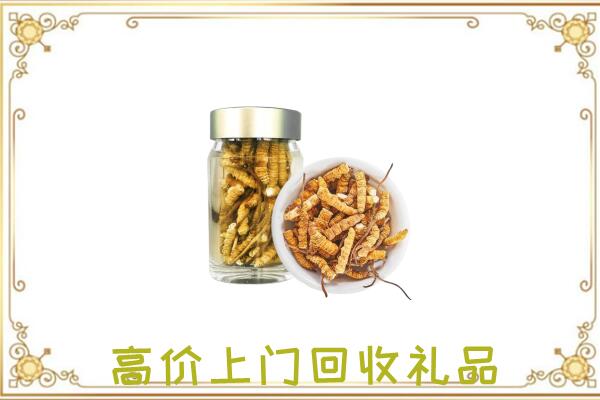 大关周边回收虫草